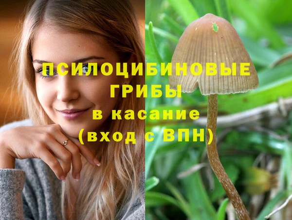 мет Армянск
