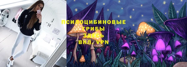 амф Аркадак