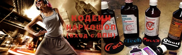 соль ск Арсеньев