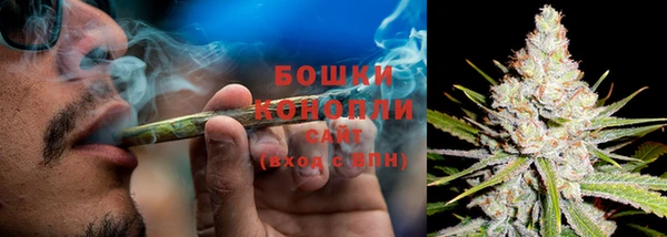 амф Аркадак